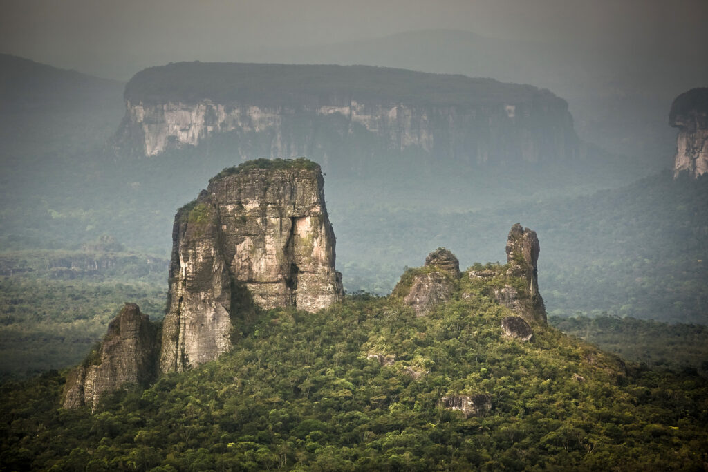 amazon rain forest landscape with rock and trees